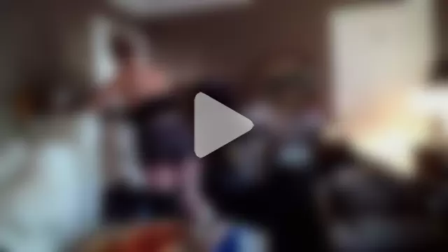 SilverandFox photo 8