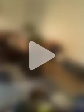 SilverandFox photo 4