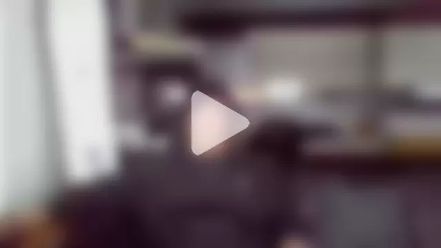 Silverhippo photo 12