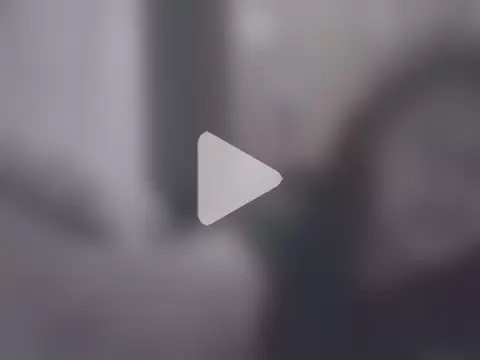 Silviaalvesdos photo 4