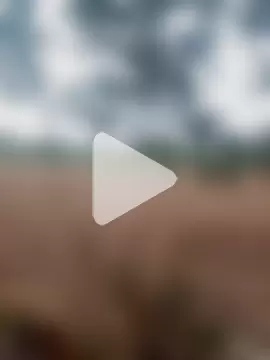 Sinewsex_pussylove photo 22