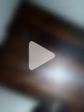 Single_lagunero photo 4