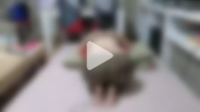 SiperinoLossado photo 23