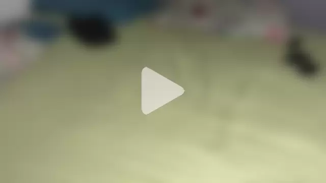 SissyStefanie photo 17