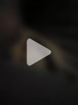 SizzlingSignal photo 1