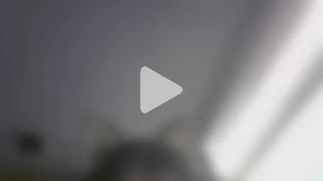 SkinnyKitten photo 24