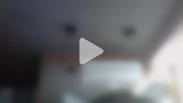 SkinnyKitten photo 8