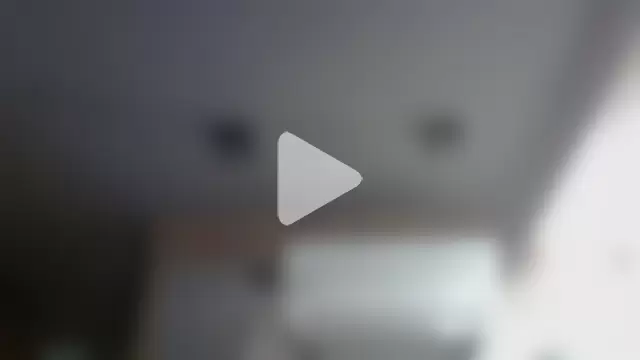 SkinnyKitten photo 7