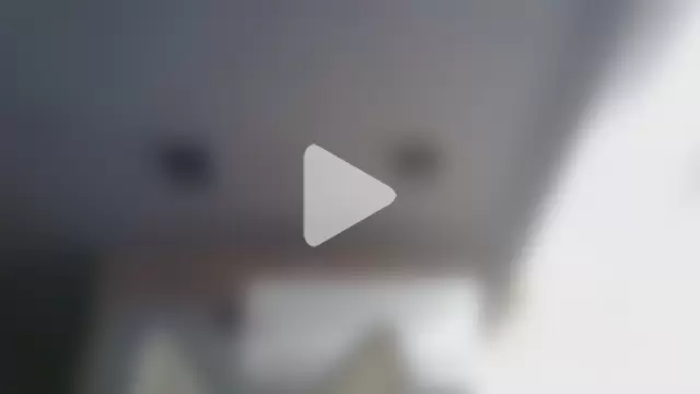 SkinnyKitten photo 3