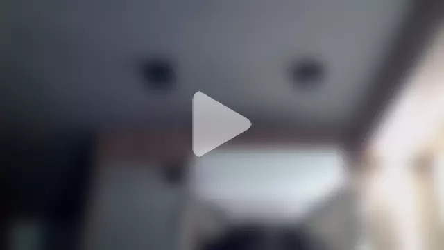 SkinnyKitten photo 2