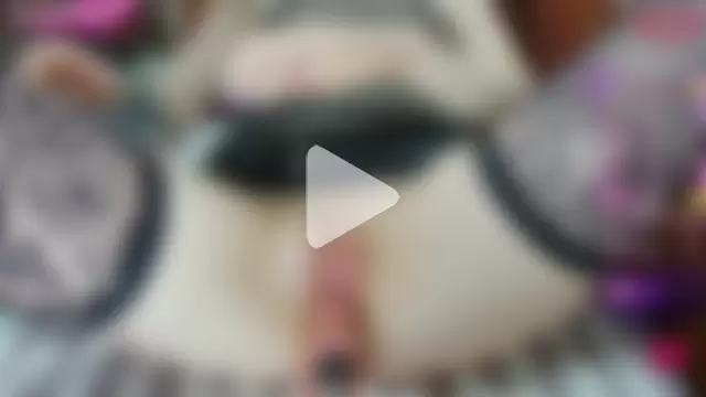 Skwirtyashka photo 13