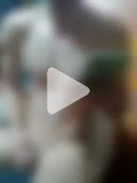 SlaugtherToEnjoy27 photo 8