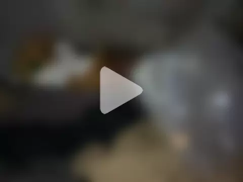 SlimeCrownzOut5 photo 13