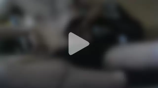 SlurpyFox2003 photo 2