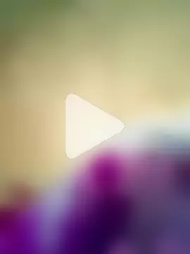 SmartLoda143 photo 6