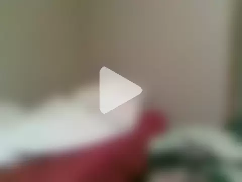 SmokingSloth photo 6