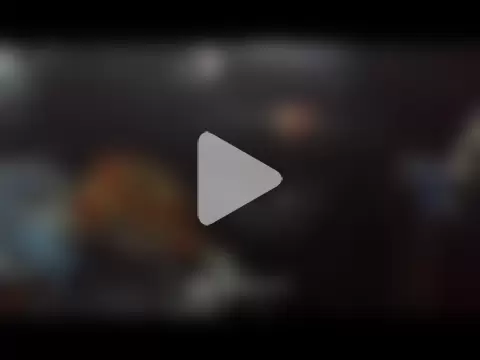 SnappedHagfish photo 19