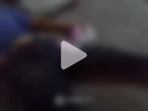 SnappedHagfish photo 2