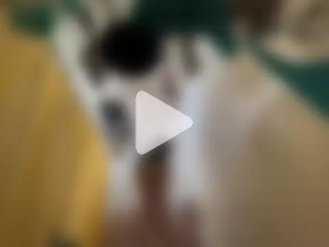 Snowbunnycake_131 photo 12