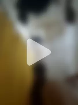 Snowbunnycake_131 photo 5