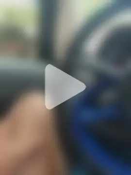 Socorristagato photo 1