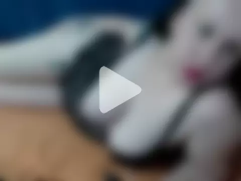 Sofia242910 photo 11