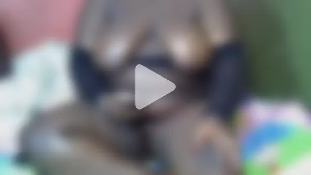 Softwhisper21 photo 6