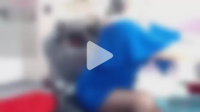 SolVegaNaciente photo 18