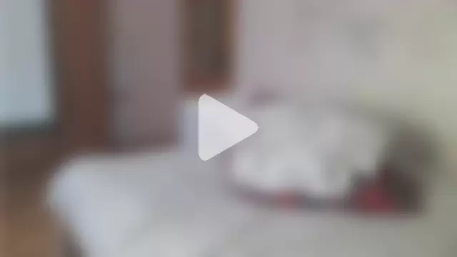 SolarEclipse99 photo 10