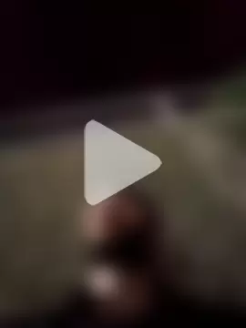 SolitaryMisfit8 photo 27