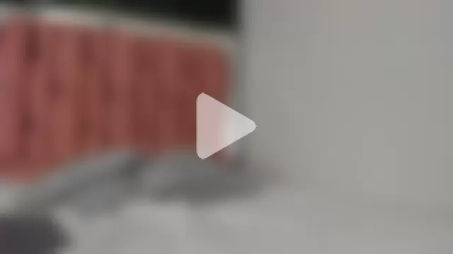 Sophia_Lemos photo 21