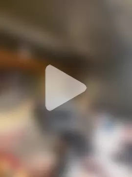 Southern_Bella photo 1