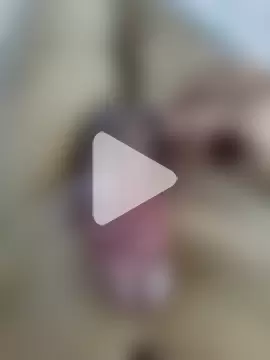 Southindiandick photo 23