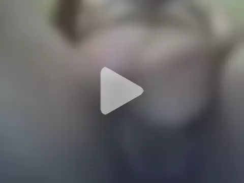 SpannedTentin photo 8