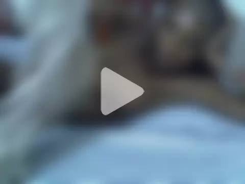 SpicyPetite photo 22