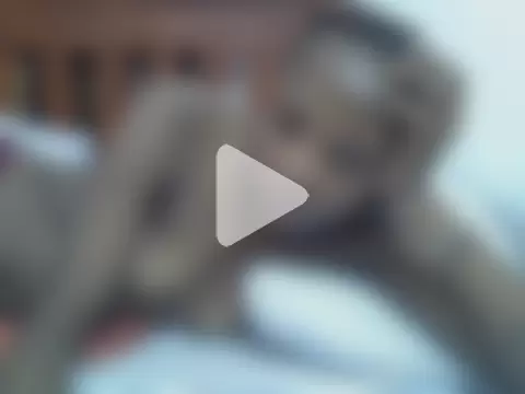 SpicyPetite photo 15