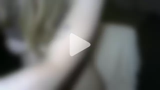 StacyNextdoor photo 11