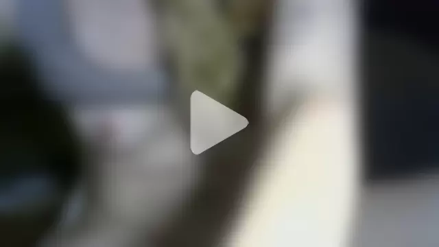 StacyNextdoor photo 3