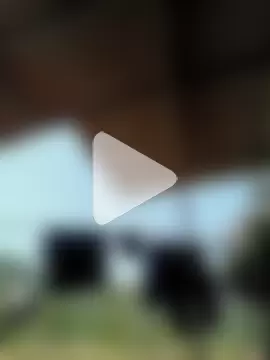 StainedStudy photo 4