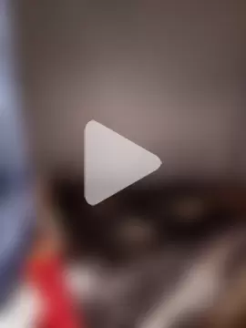 StallionGuru_co photo 4