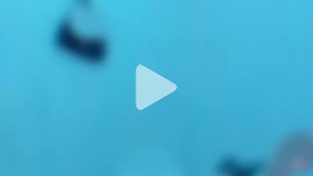 StassieBell photo 26