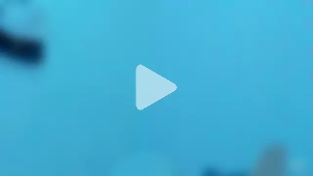 StassieBell photo 25