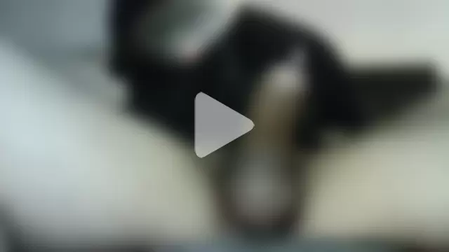 StativeRich photo 13