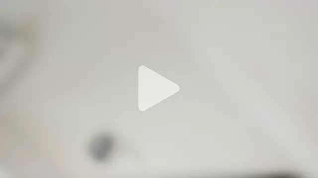 Stefannyevans_ photo 8