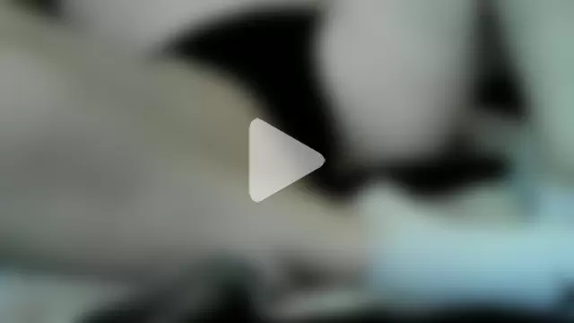 Steffitofuck photo 12