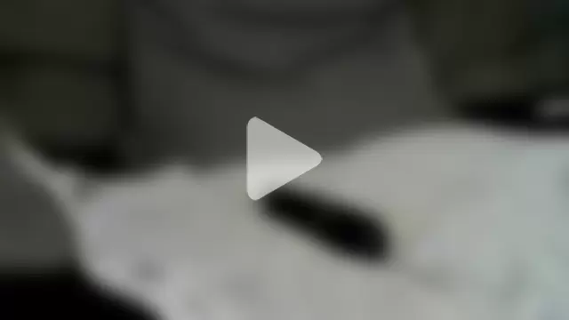 Steffitofuck photo 16