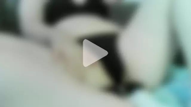 Steffitofuck photo 8