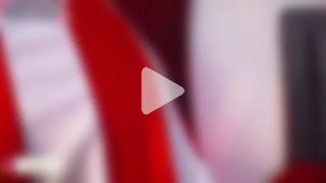 Stefy_Harris photo 27