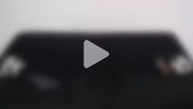 Steilormuller66 photo 2