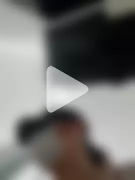 Stelafrancini photo 20